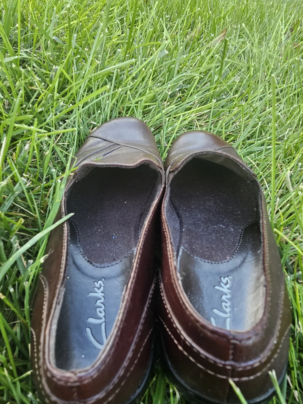 Clarks vintage blackberry